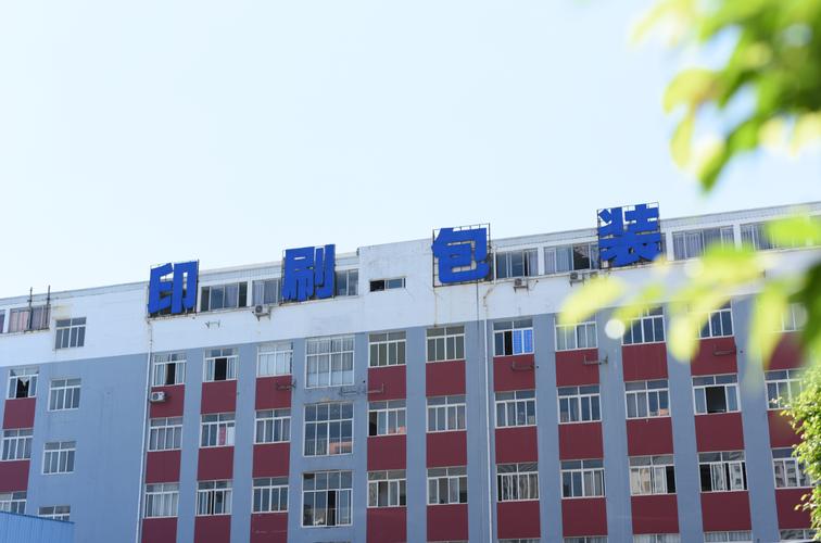 业务涵盖本地出版物印刷,包装装潢印刷,其他印刷品印刷;印制纸和纸